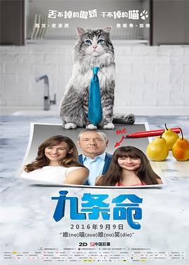 手机在线观看
