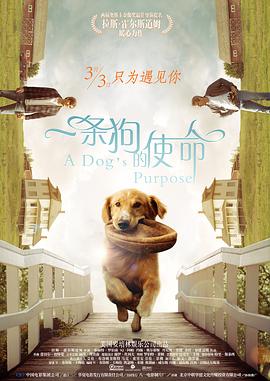 无删减版在线观看