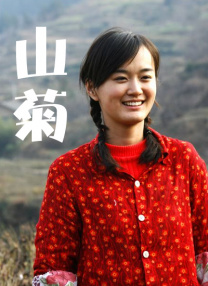 BD国语电影免费在线